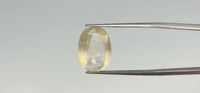 Yellow Sapphire - 10.25 Carat