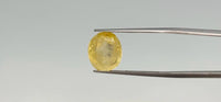 Yellow Sapphire - 9.2 Carat