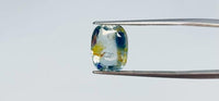 Pitambari – 6.92 Carat