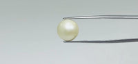 Pearl – 11.9 Carat