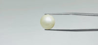 Pearl – 12.2 Carat