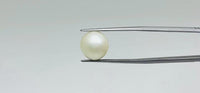 Pearl – 11.65 Carat