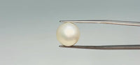 Pearl – 16 Carat