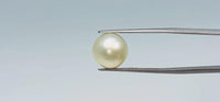 Pearl – 11.05 Carat