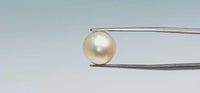 Pearl – 11.05 Carat