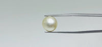 Pearl – 10.8 Carat