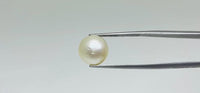 Pearl – 11.15 Carat