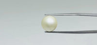 Pearl – 11.75 Carat