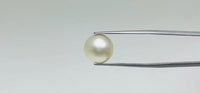 Pearl – 11.4 Carat