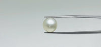 Pearl – 10.95 Carat