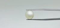 Pearl – 12.3 Carat