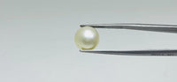 Pearl – 10.95 Carat