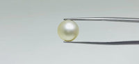 Pearl – 11.1 Carat