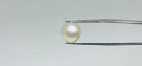 Pearl – 11.1 Carat