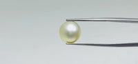 Pearl – 10.35 Carat