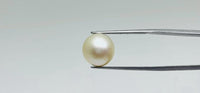 Pearl – 11 Carat