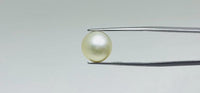 Pearl – 11.4 Carat