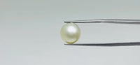 Pearl – 10.3 Carat