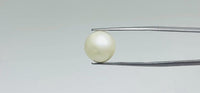 Pearl – 12.4 Carat