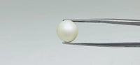 Pearl – 10.65 Carat