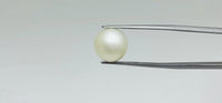 Pearl – 12.05 Carat