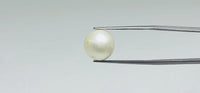 Pearl – 13.65 Carat