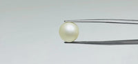 Pearl – 12.55 Carat