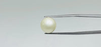 Pearl – 11.55 Carat