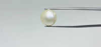 Pearl – 16.1 Carat