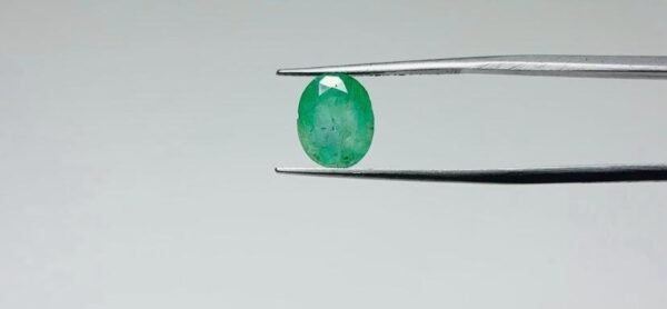 ZAMBIAN EMERALD - 3.1 CARAT