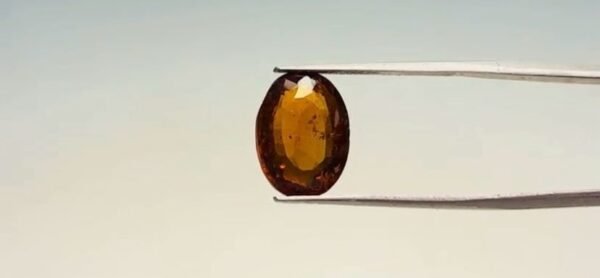 Hessonite - 7.25 Carat