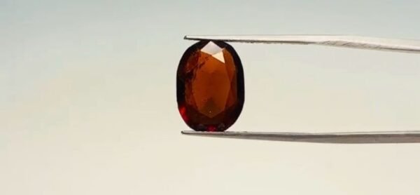 Hessonite - 9.7 Carat