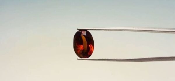 Hessonite - 6.9 Carat