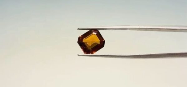 Hessonite - 3.9 Carat