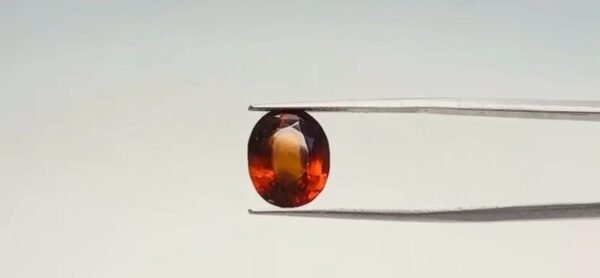 Hessonite  - 6.55 Carat