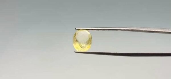 Yellow Sapphire - 3.1 Carat