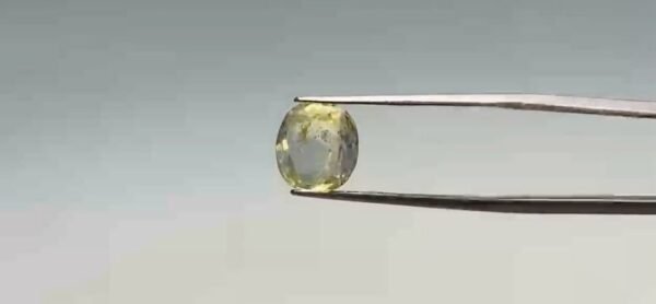 Pitambari Sapphire - 3.75 Carat