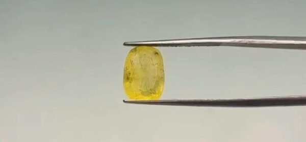 Yellow Sapphire - 5.25 Carat