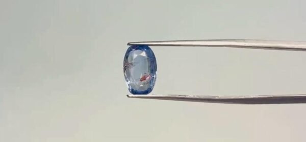 Blue Sapphire - 3.6 Carat
