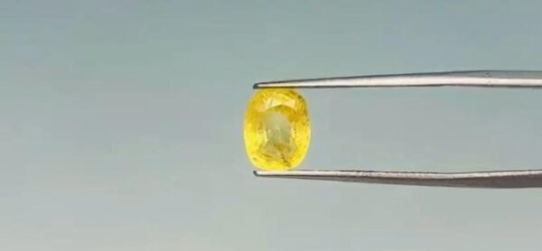 Yellow Sapphire - 3.1 Carat