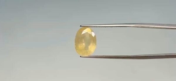 Yellow Sapphire - 5.55 Carat