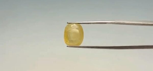 Yellow Sapphire - 7.8 Carat