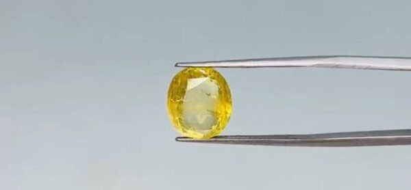 Yellow Sapphire  - 7.1 Carat