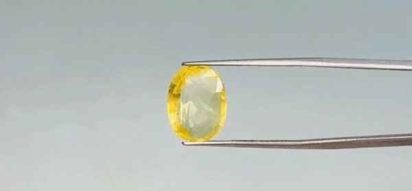 Yellow Sapphire  - 6.95 Carat