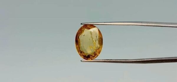 Hessonite  - 6.45 Carat