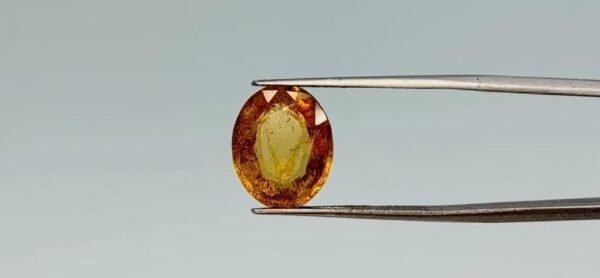 Hessonite  - 8.25 Carat