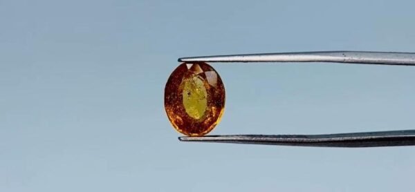 Hessonite  - 4.5 Carat
