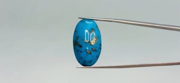 Turquoise - 20.55 Carat