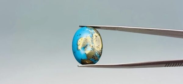 Turquoise - 21.6 Carat