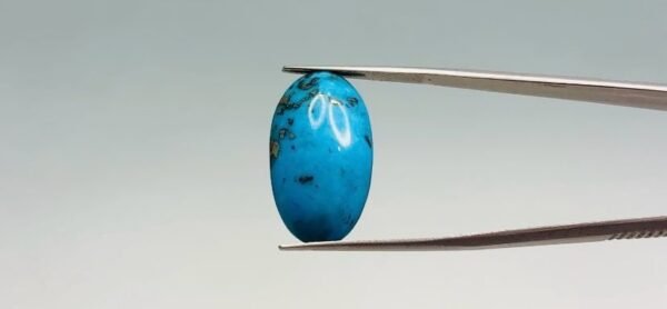 Turquoise - 19.7 Carat